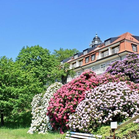 Ferienwohnung Natur Und Kunst Dresda Exterior foto