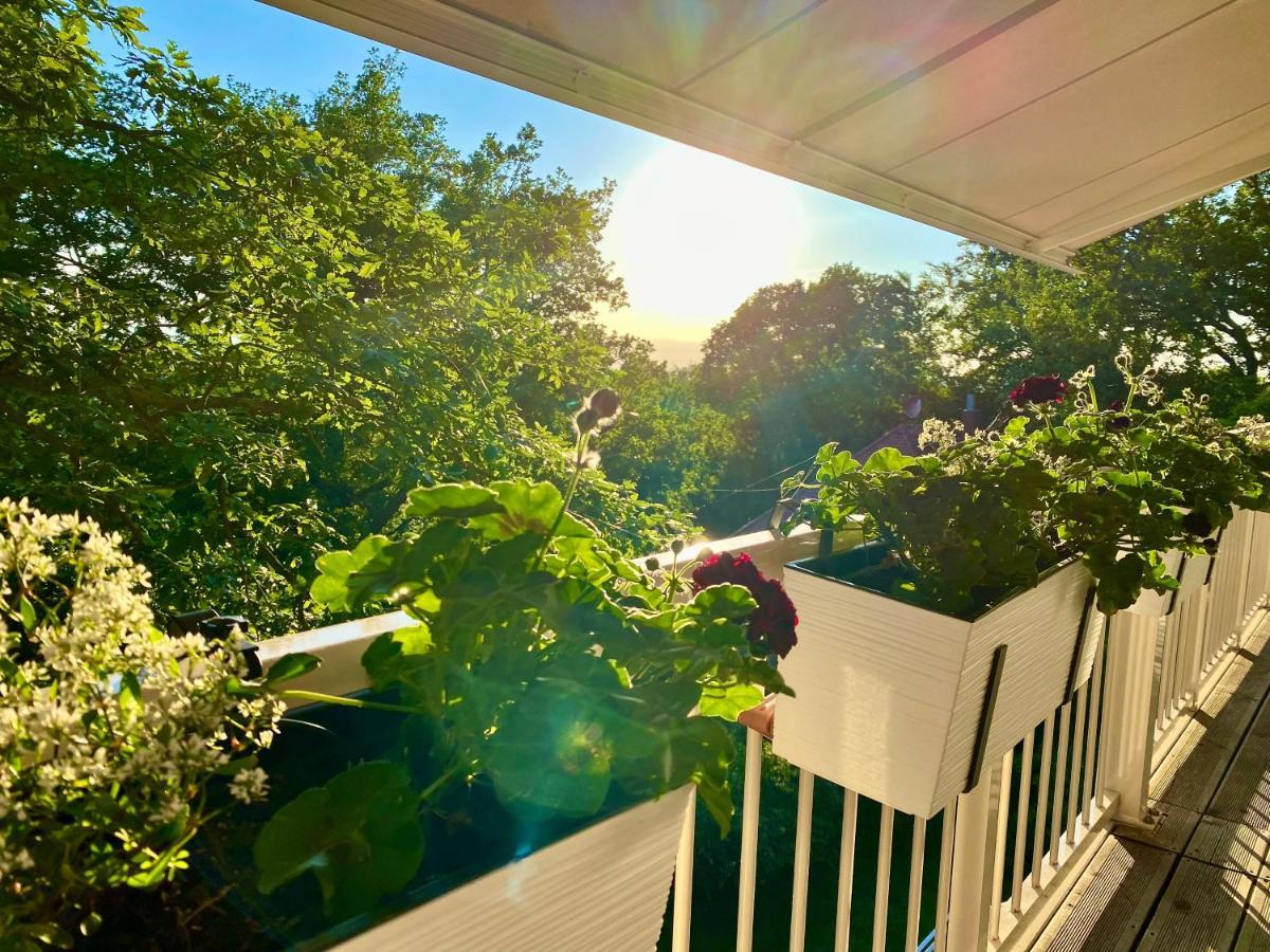 Ferienwohnung Natur Und Kunst Dresda Exterior foto
