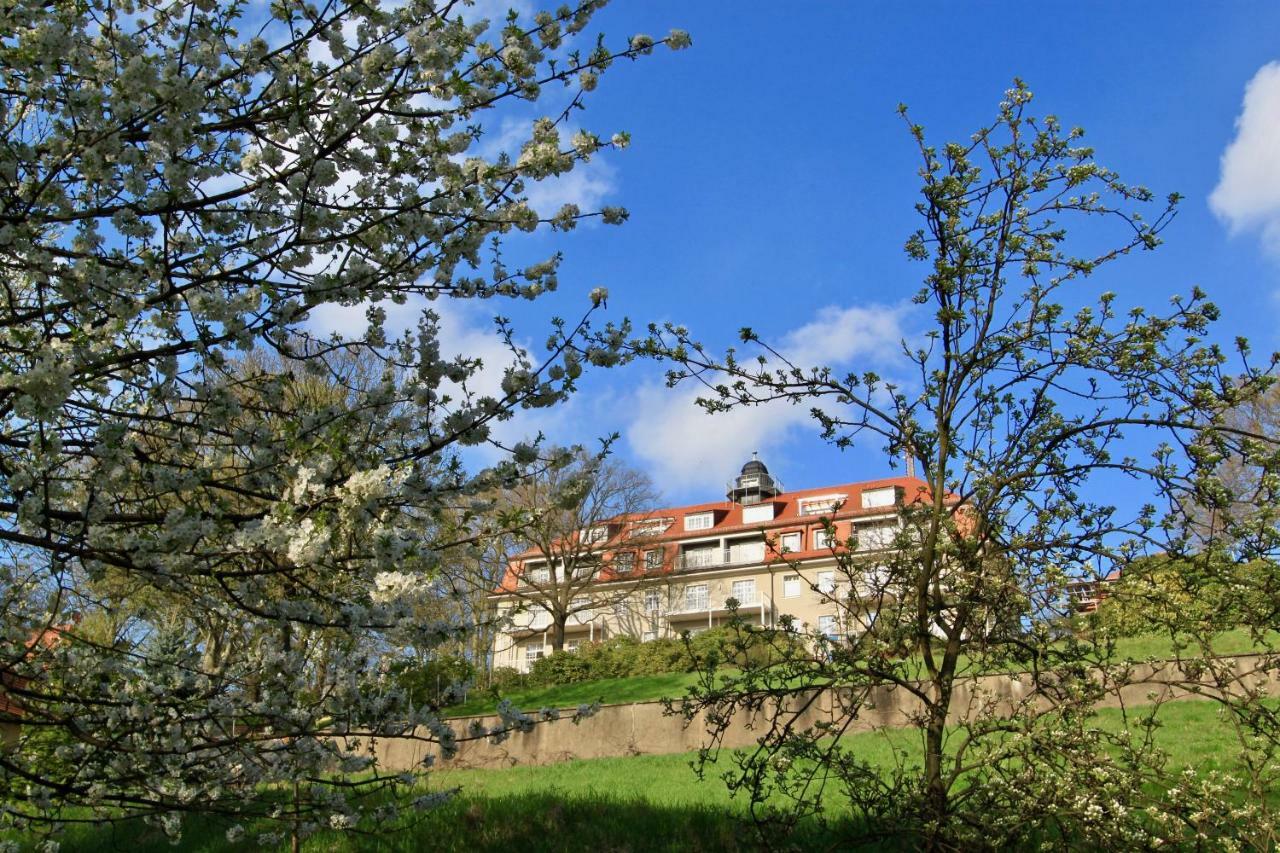 Ferienwohnung Natur Und Kunst Dresda Exterior foto