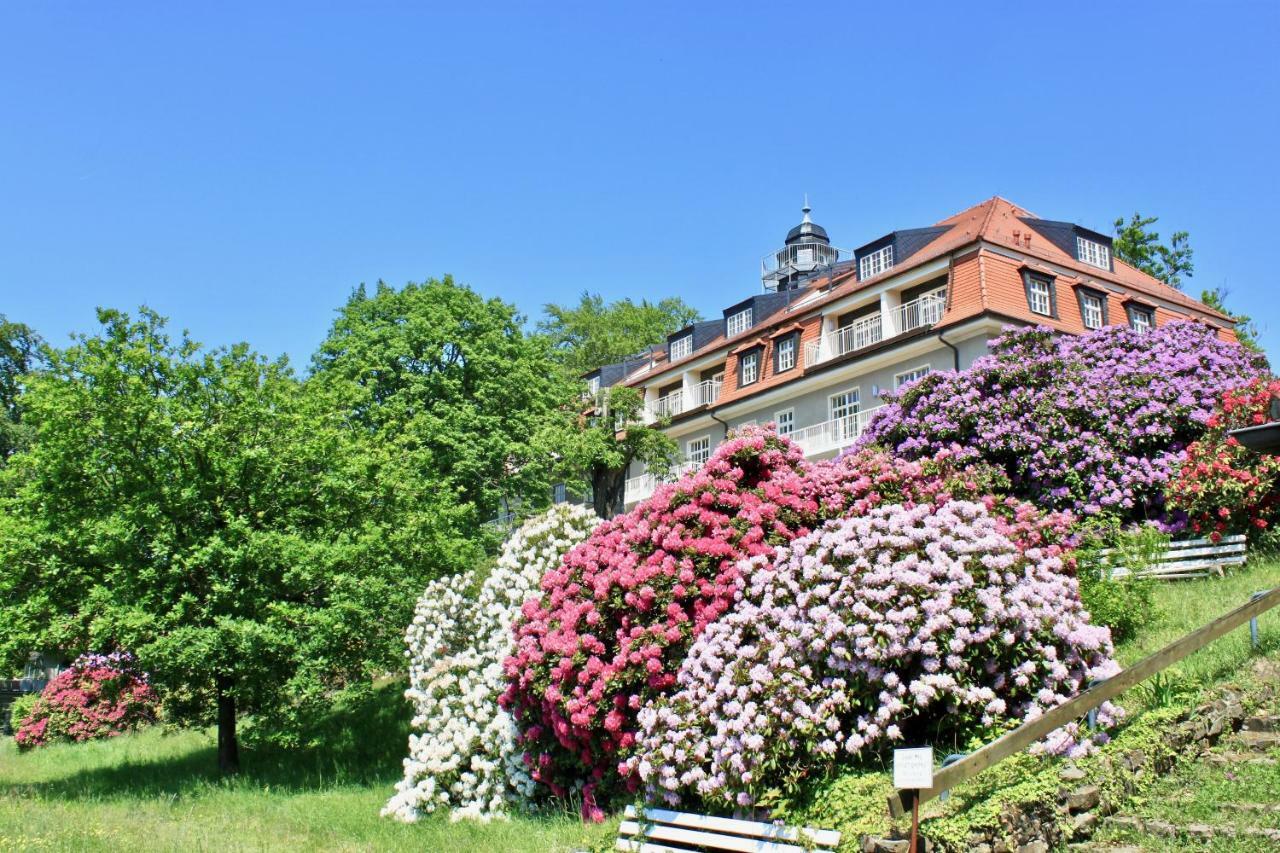 Ferienwohnung Natur Und Kunst Dresda Exterior foto