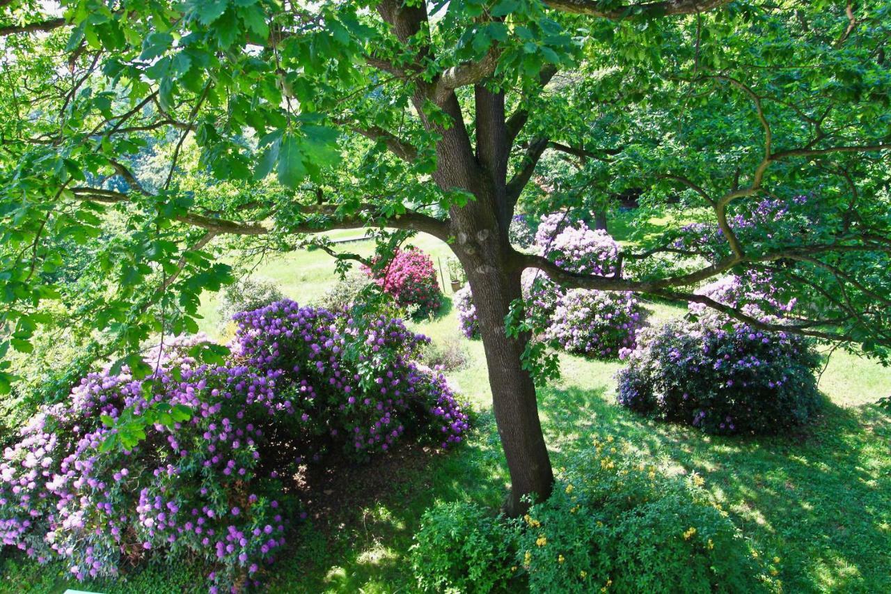 Ferienwohnung Natur Und Kunst Dresda Exterior foto