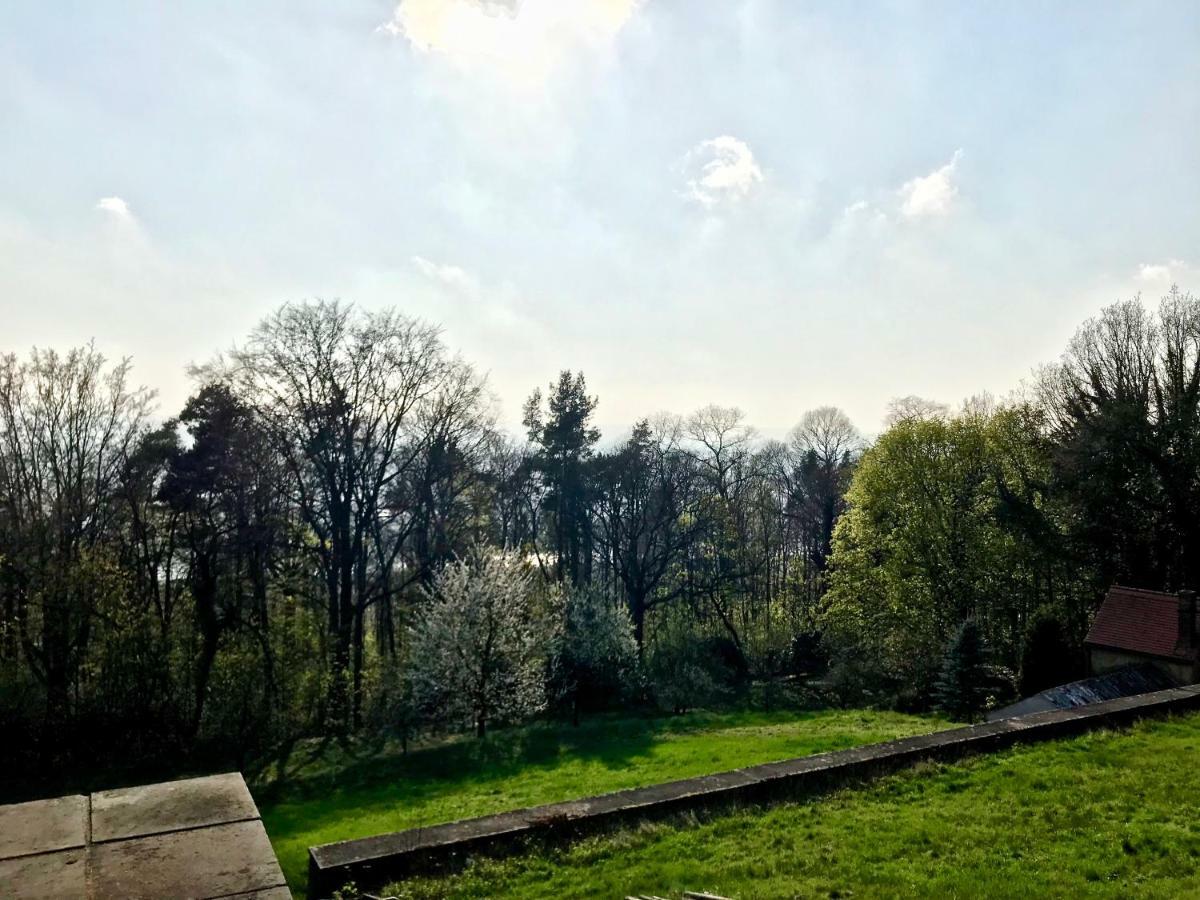 Ferienwohnung Natur Und Kunst Dresda Exterior foto