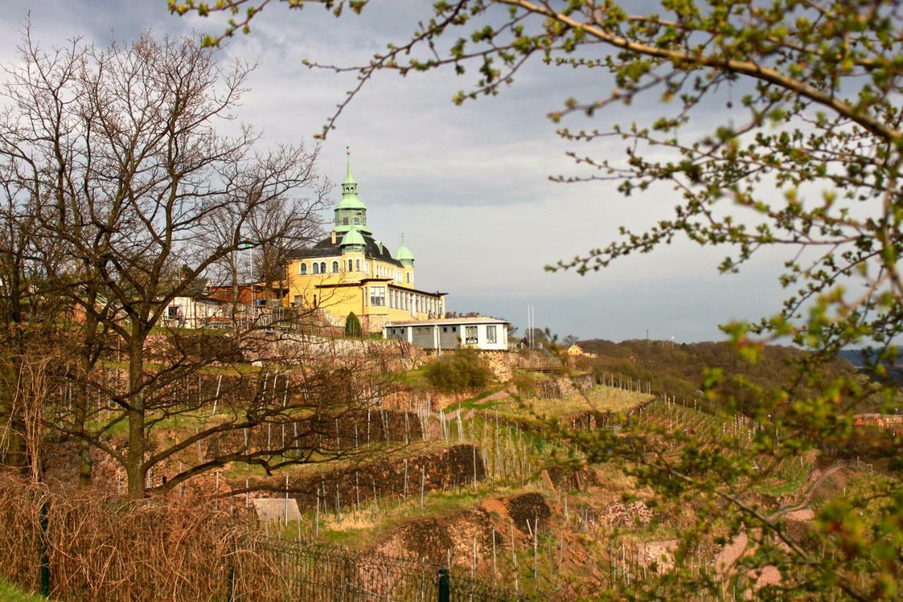 Ferienwohnung Natur Und Kunst Dresda Exterior foto